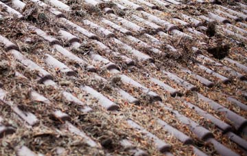 Wilnecote roof cleaning companies